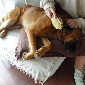 Tilley + Me - Bamboo Two-Sided Bristle and Wire Pet Brush