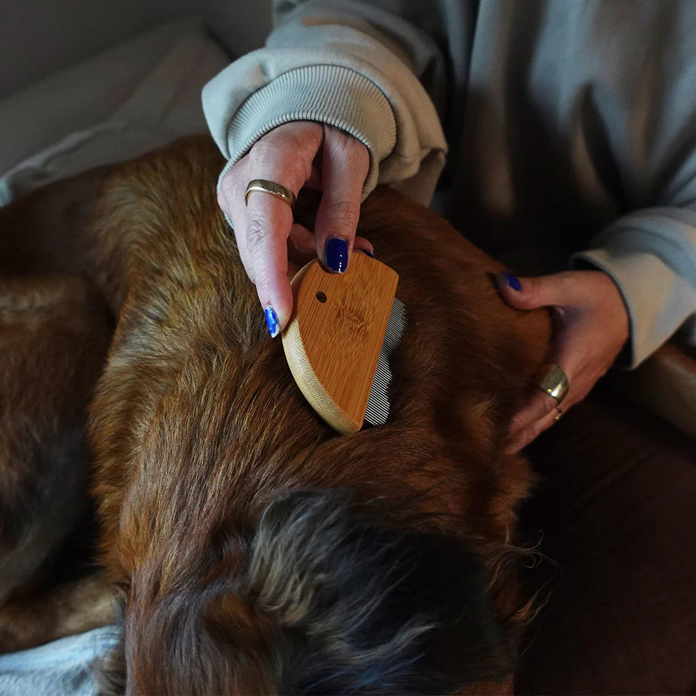 Tilley + Me - Bamboo Flea and Detangler Comb for Pets