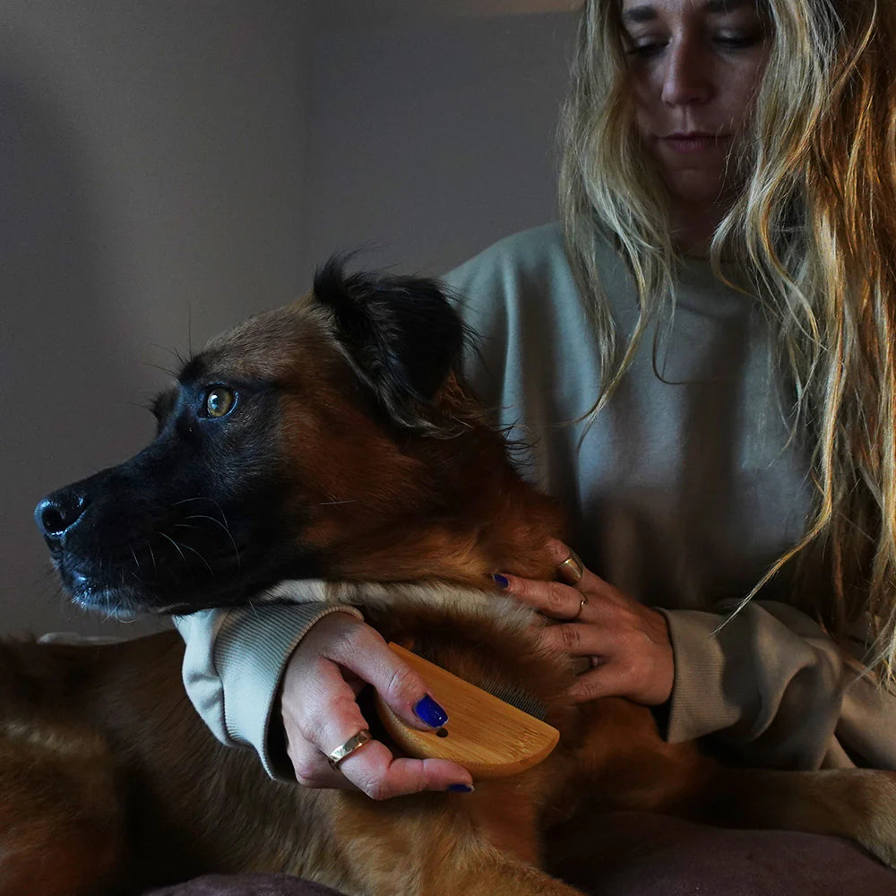 Tilley + Me - Bamboo Flea and Detangler Comb for Pets