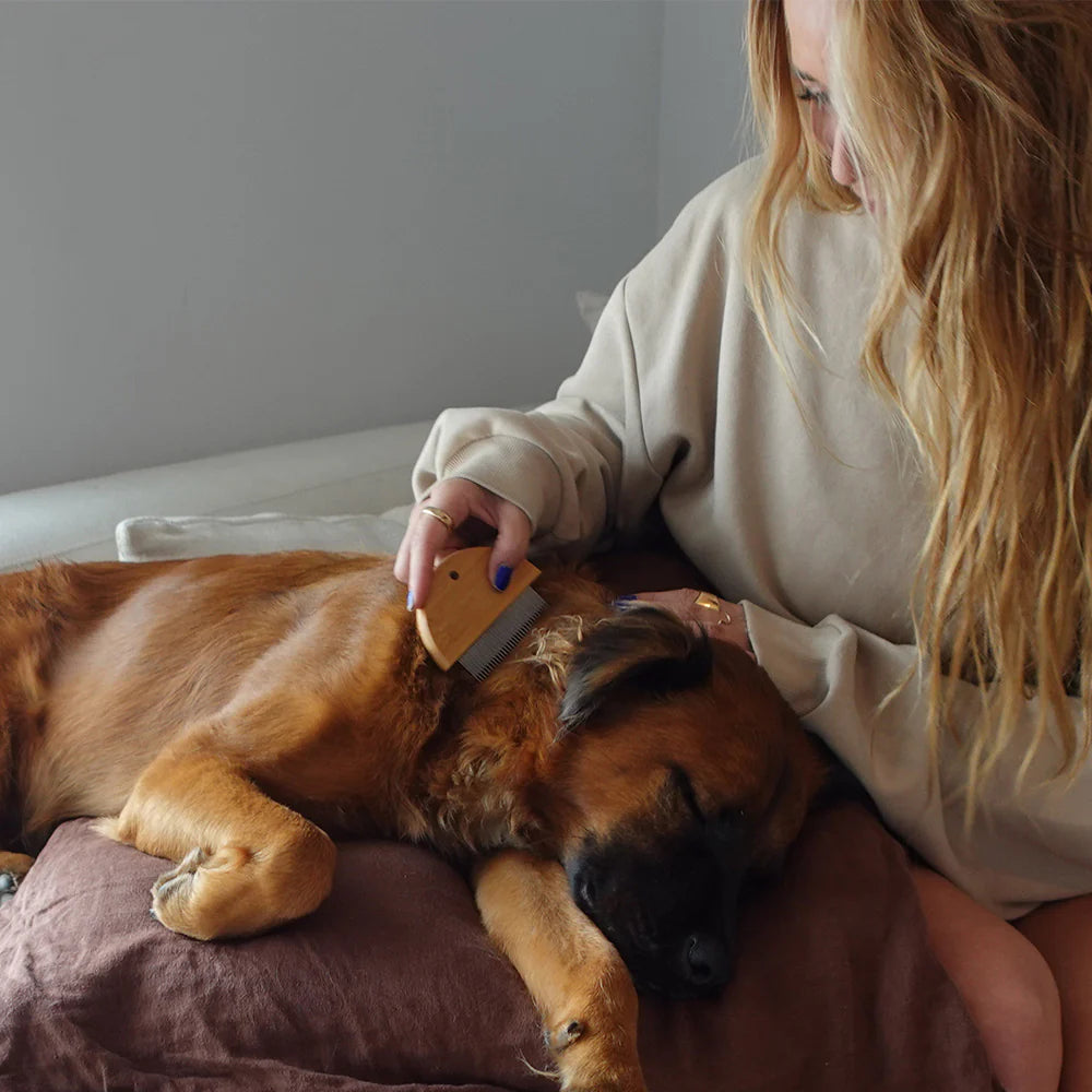 Tilley + Me - Bamboo Flea and Detangler Comb for Pets