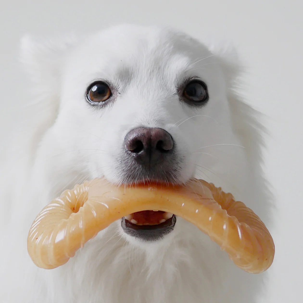 Benebone - Dental Nylon Chew Toy Chicken