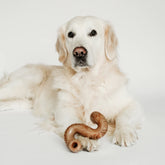 Benebone - Triple Bone Nylon Chew Toy - Southern Agriculture 