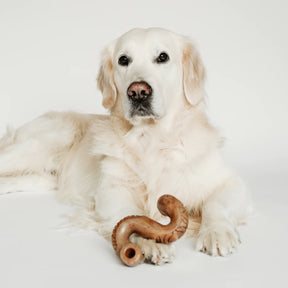 Benebone - Triple Bone Nylon Chew Toy - Southern Agriculture 