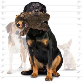Tuffy Dog Toys - Mighty Angry Animal Bear