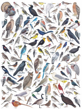 New York Puzzle Co. - Birds of North America - Southern Agriculture 