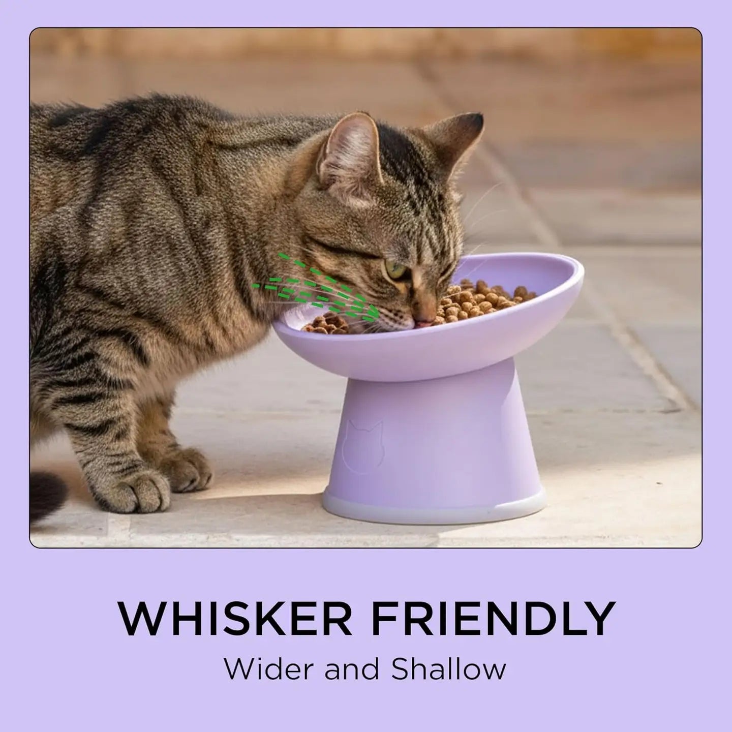Moon-X USA - Cat Food Bowl Tilted Stress Free Raised 2 Piece Set