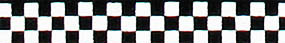 Beastie Bands - Nylon Velcro Cat Collar - Checkerboard