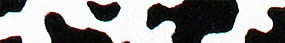 Beastie Bands - Nylon Velcro Cat Collar - Cow Print