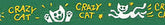 Beastie Bands - Nylon Velcro Cat Collar - Crazy Cat