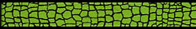 Beastie Bands - Nylon Velcro Cat Collar - Gator Skin Beastie Bands -