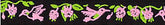 Beastie Bands - Nylon Velcro Cat Collar - Hummingbirds & Fuschias