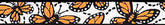 Beastie Bands - Nylon Velcro Cat Collar - Monarch Butterflies