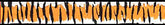 Beastie Bands - Velcro Cat Collar - Tiger Stripes