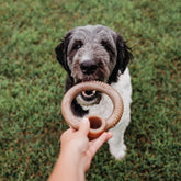 Benebone - Ring Nylon Chew Toy Bacon