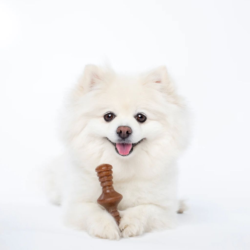 Benebone - Zaggler Nylon Chew Toy Bacon - Southern Agriculture 