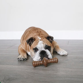 Benebone - Zaggler Nylon Chew Toy Bacon - Southern Agriculture 