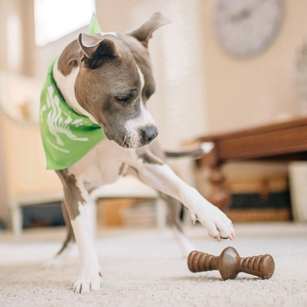 Benebone - Zaggler Nylon Chew Toy Bacon - Southern Agriculture 