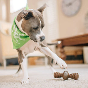 Benebone - Zaggler Nylon Chew Toy Bacon - Southern Agriculture 