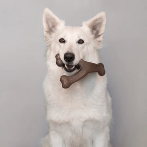 Benebone - Wishbone Nylon Chew Toy Peanut Butter