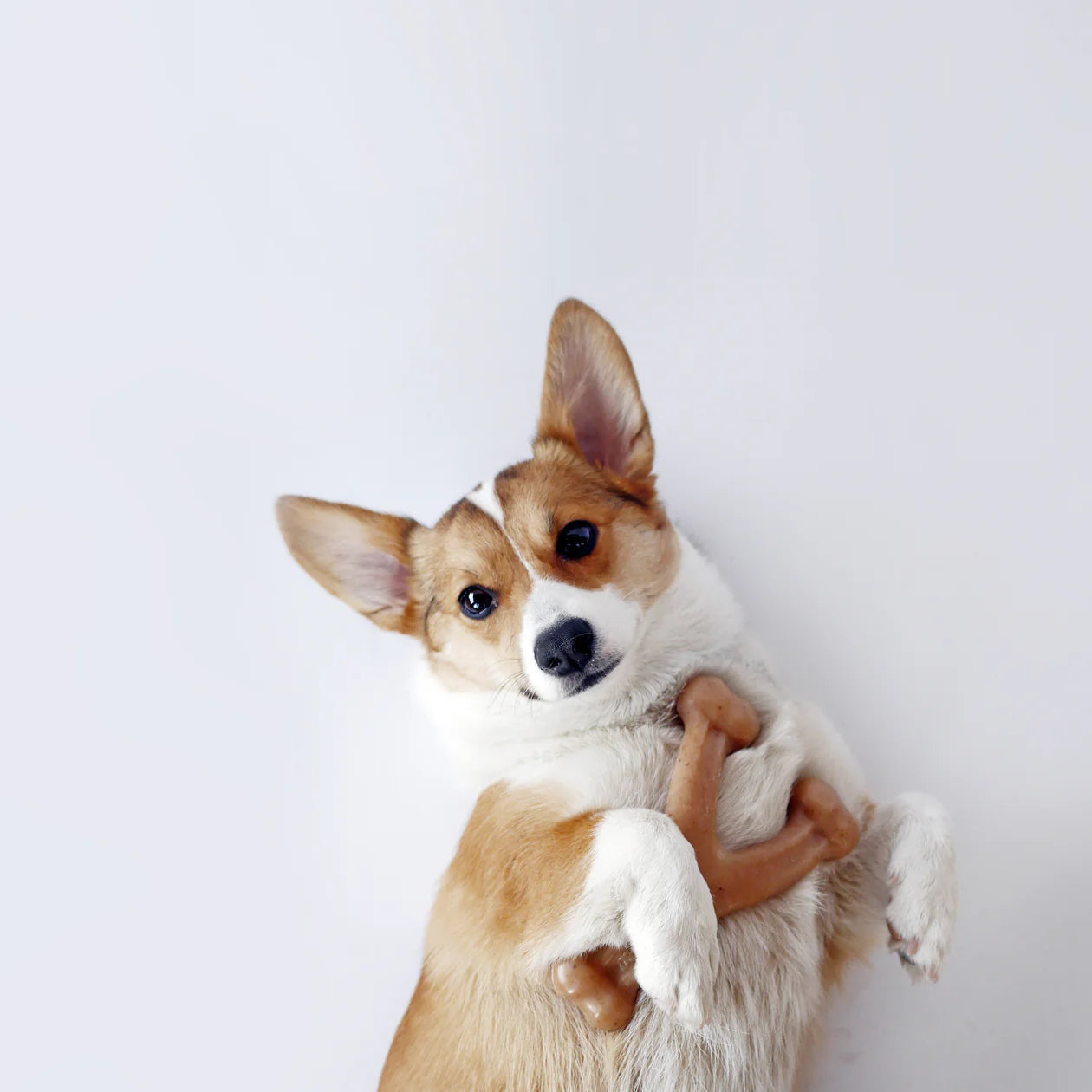 Benebone - Wishbone Nylon Chew Toy Bacon - Southern Agriculture 