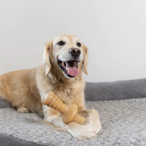 Benebone - Zaggler Nylon Chew Toy Chicken