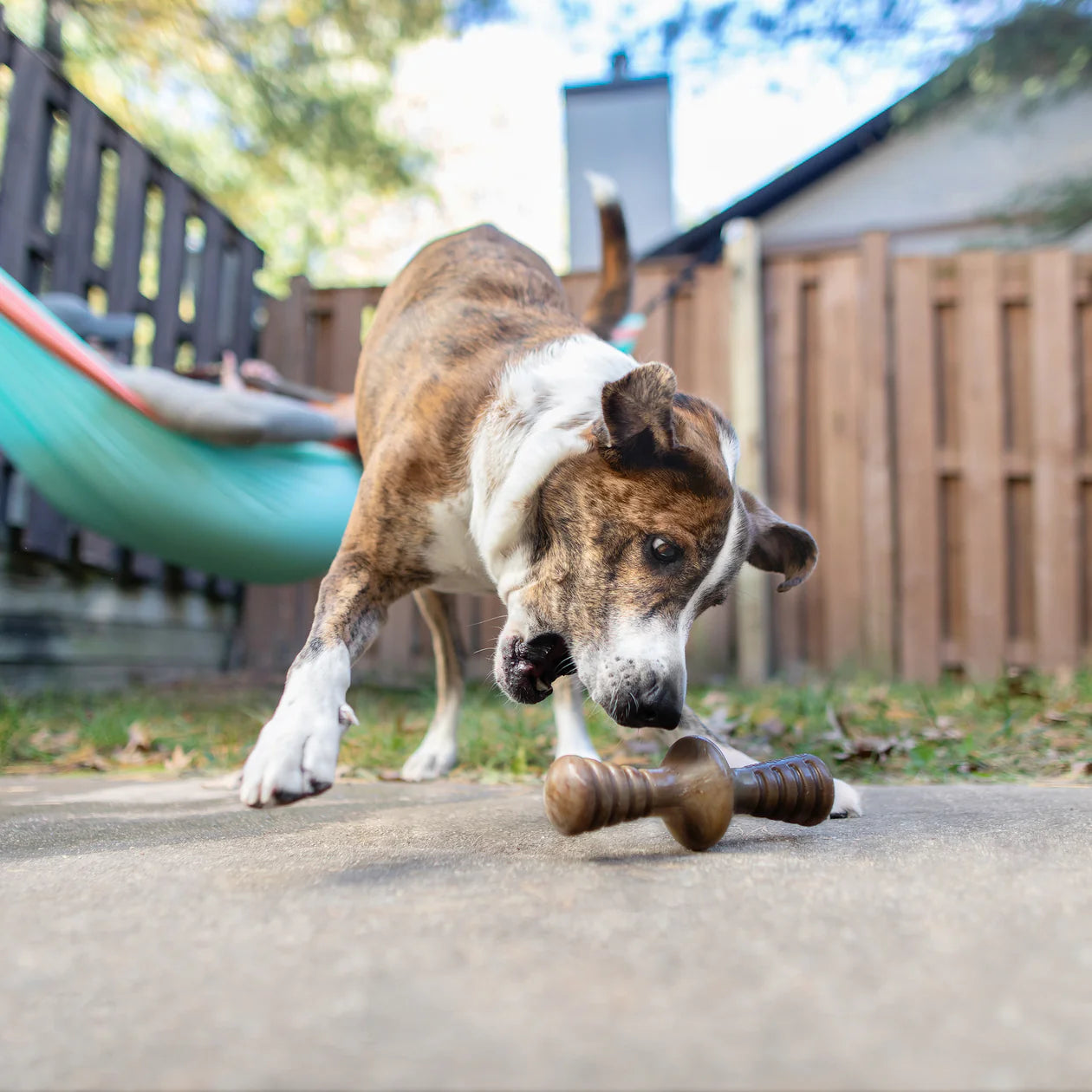 Benebone - Zaggler Nylon Chew Toy Peanut Butter