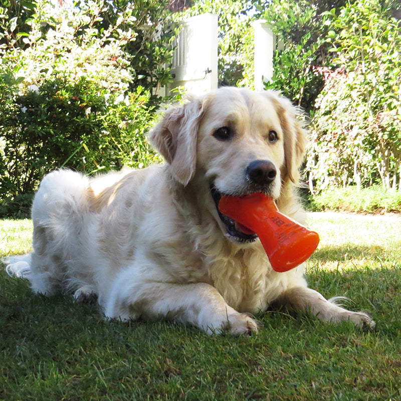 Bionic - FDA Food Grade Rubber Bone
