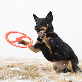 Bionic - FDA Food Toss-N-Tug