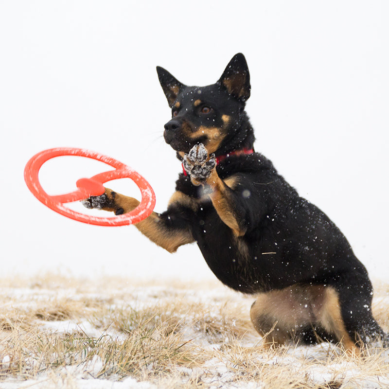 Bionic - FDA Food Toss-N-Tug