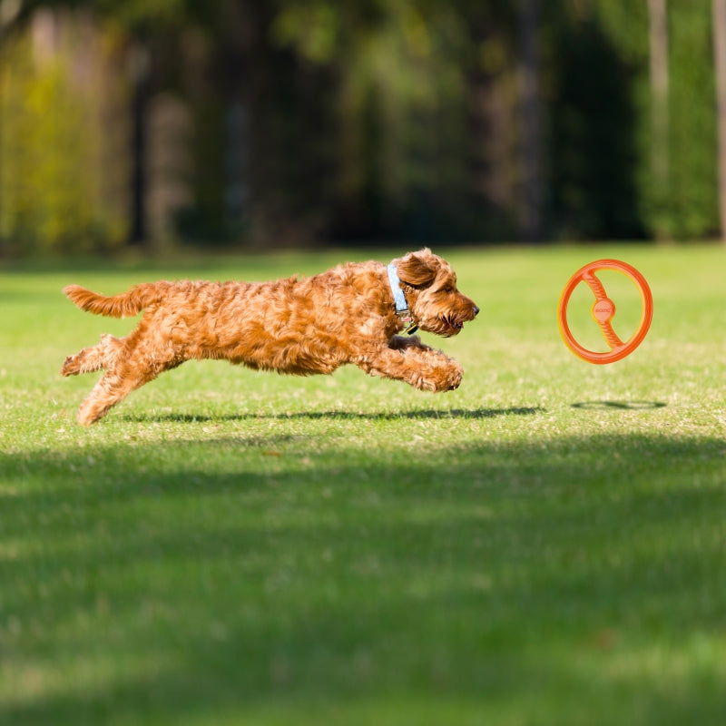 Bionic - FDA Food Toss-N-Tug