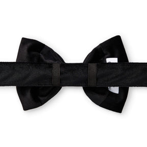 The Foggy Dog - Dog Bow Tie Velvet