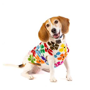 Chilly Dog - Dog Sweater Bloom