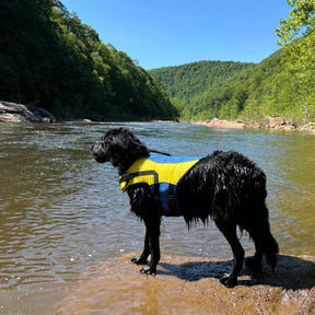 Carolina Pet Company - Life Jacket Body Glove Ripstop