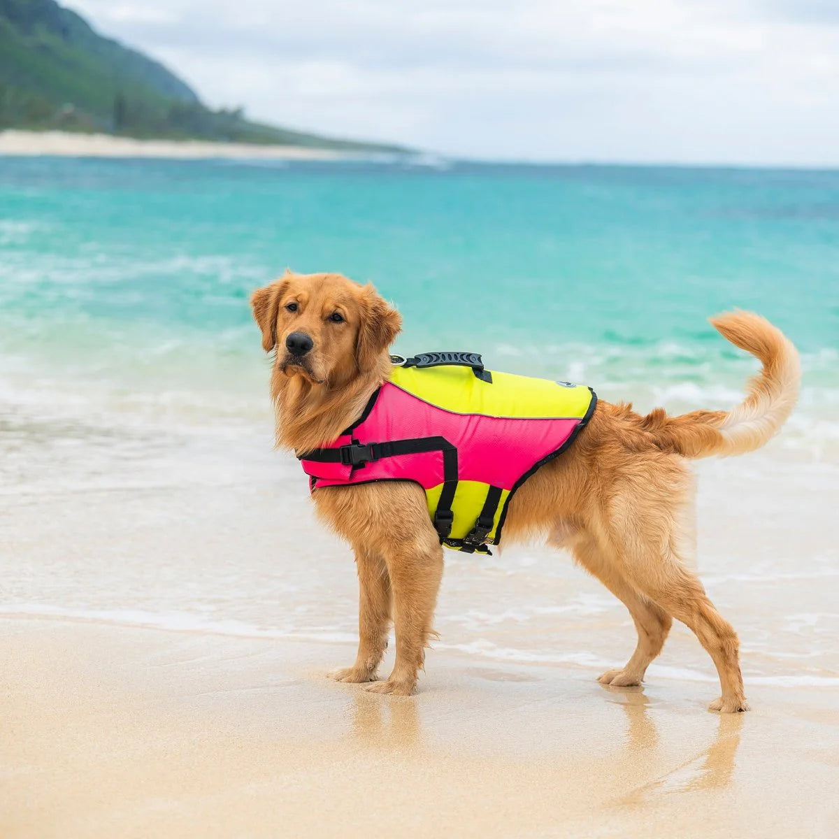 Carolina Pet Company - Life Jacket Body Glove Ripstop