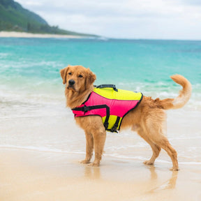 Carolina Pet Company - Life Jacket Body Glove Ripstop