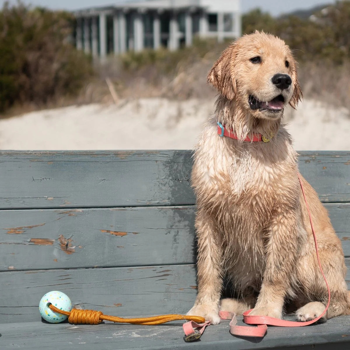 Carolina Pet Company - Body Glove Tough Tug Toy