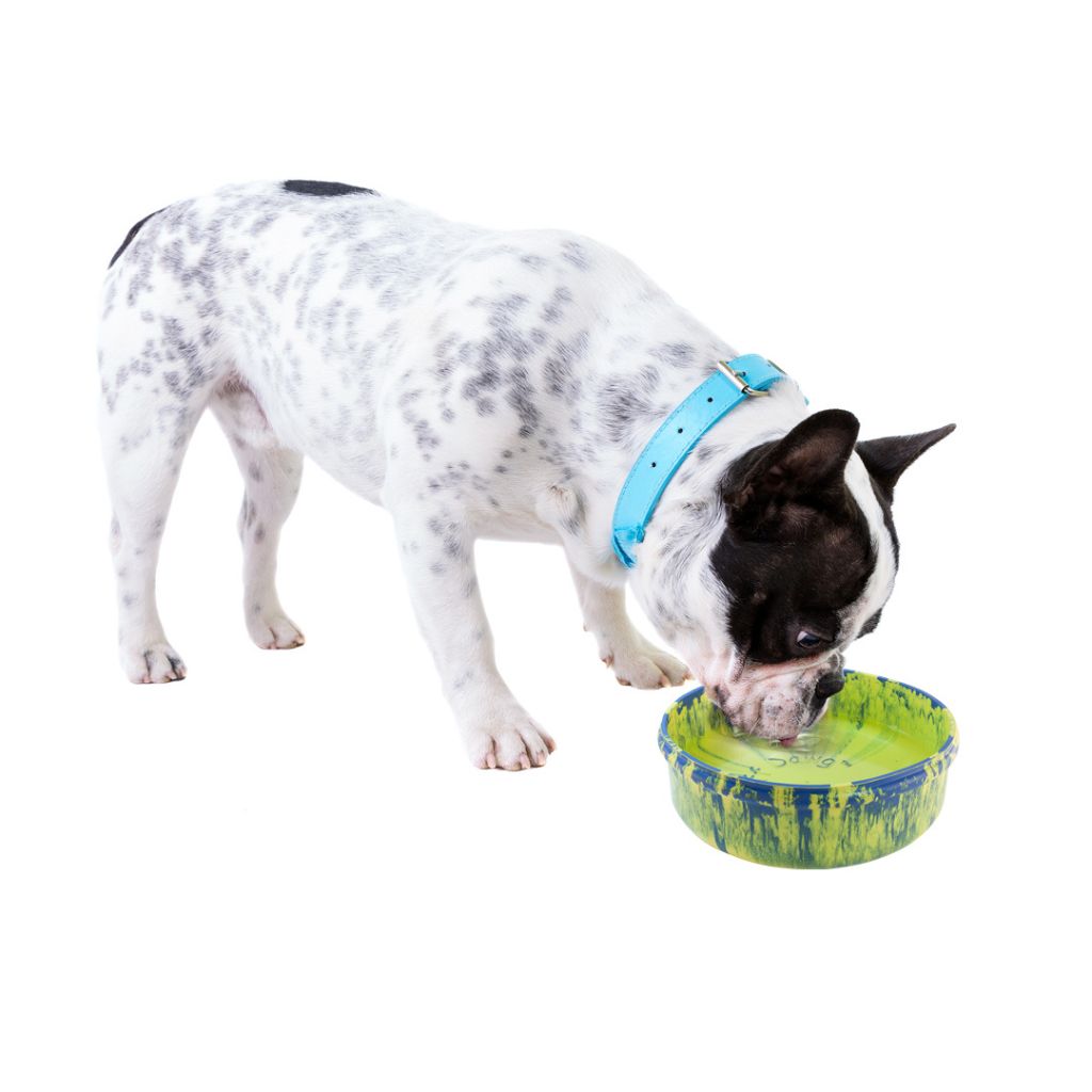 RuffDawg - Bowl Rubber (assorted colors)