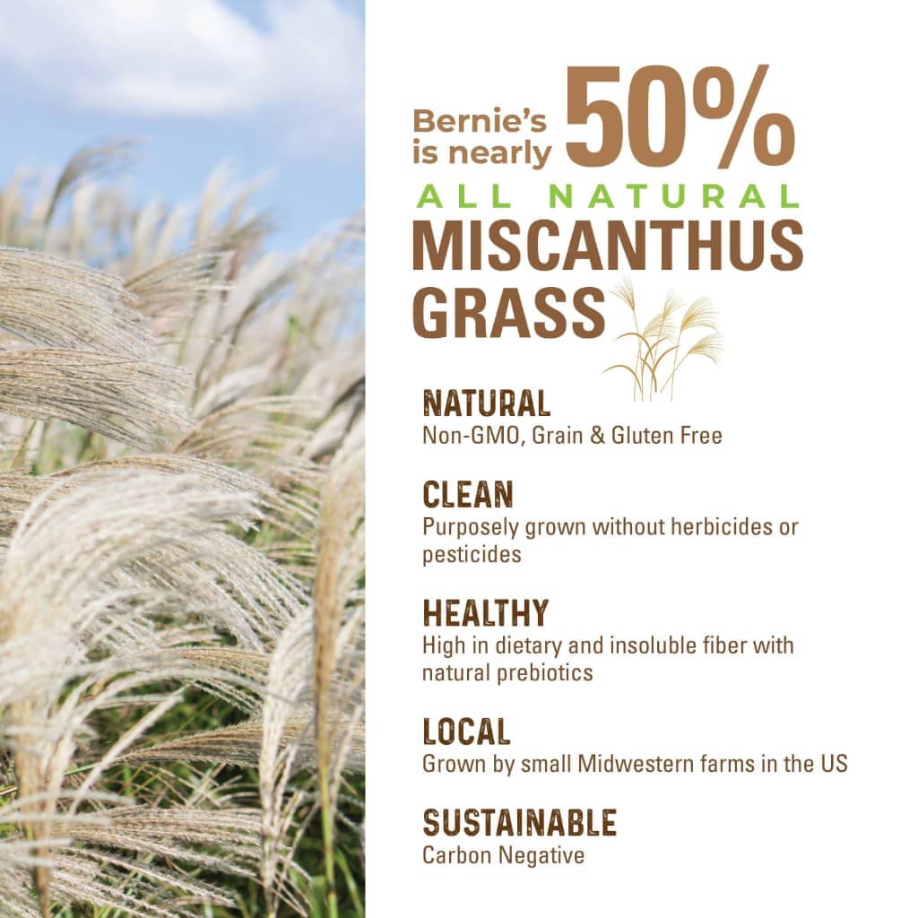 Bernie's Perfect Poop - Perfect Poop Dog Treats - Southern Agriculture 