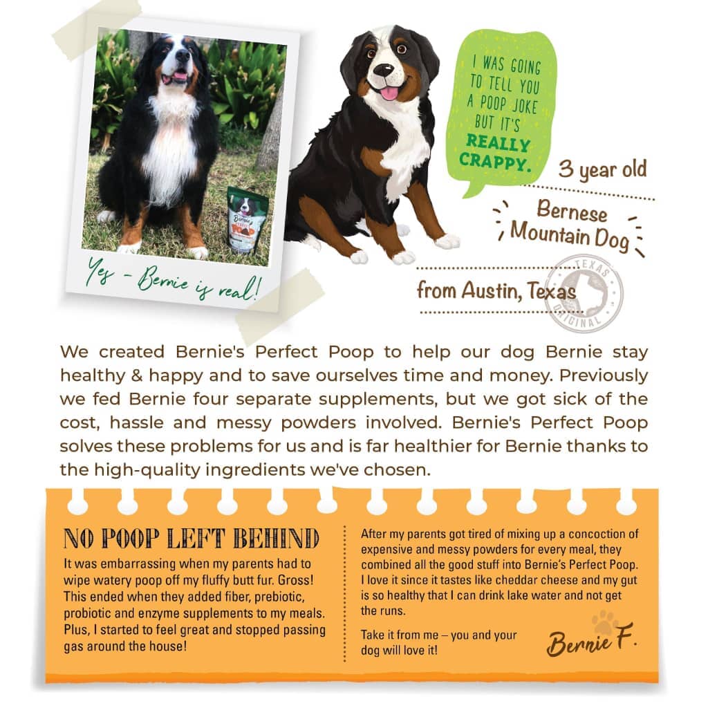 Bernie's Perfect Poop - Perfect Poop Dog Treats - Southern Agriculture 