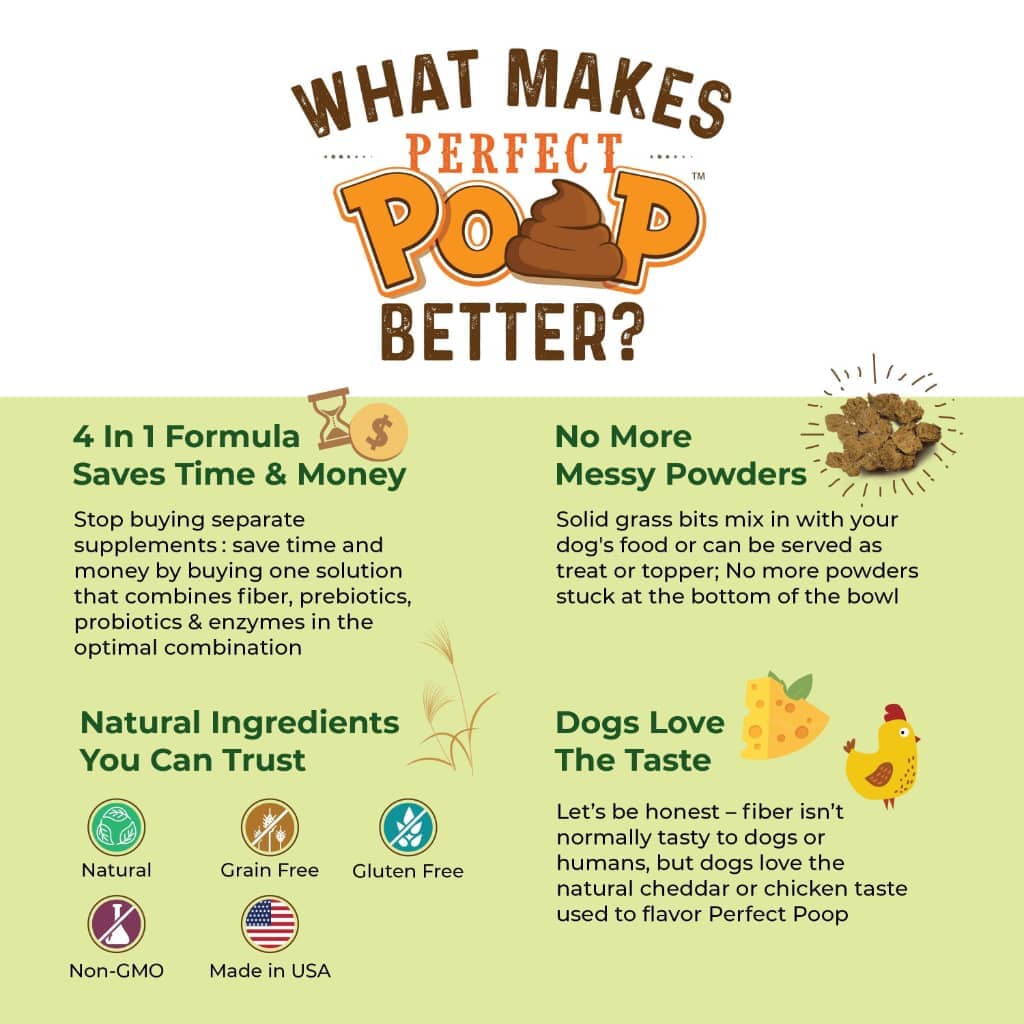 Bernie's Perfect Poop - Perfect Poop Dog Treats - Southern Agriculture 