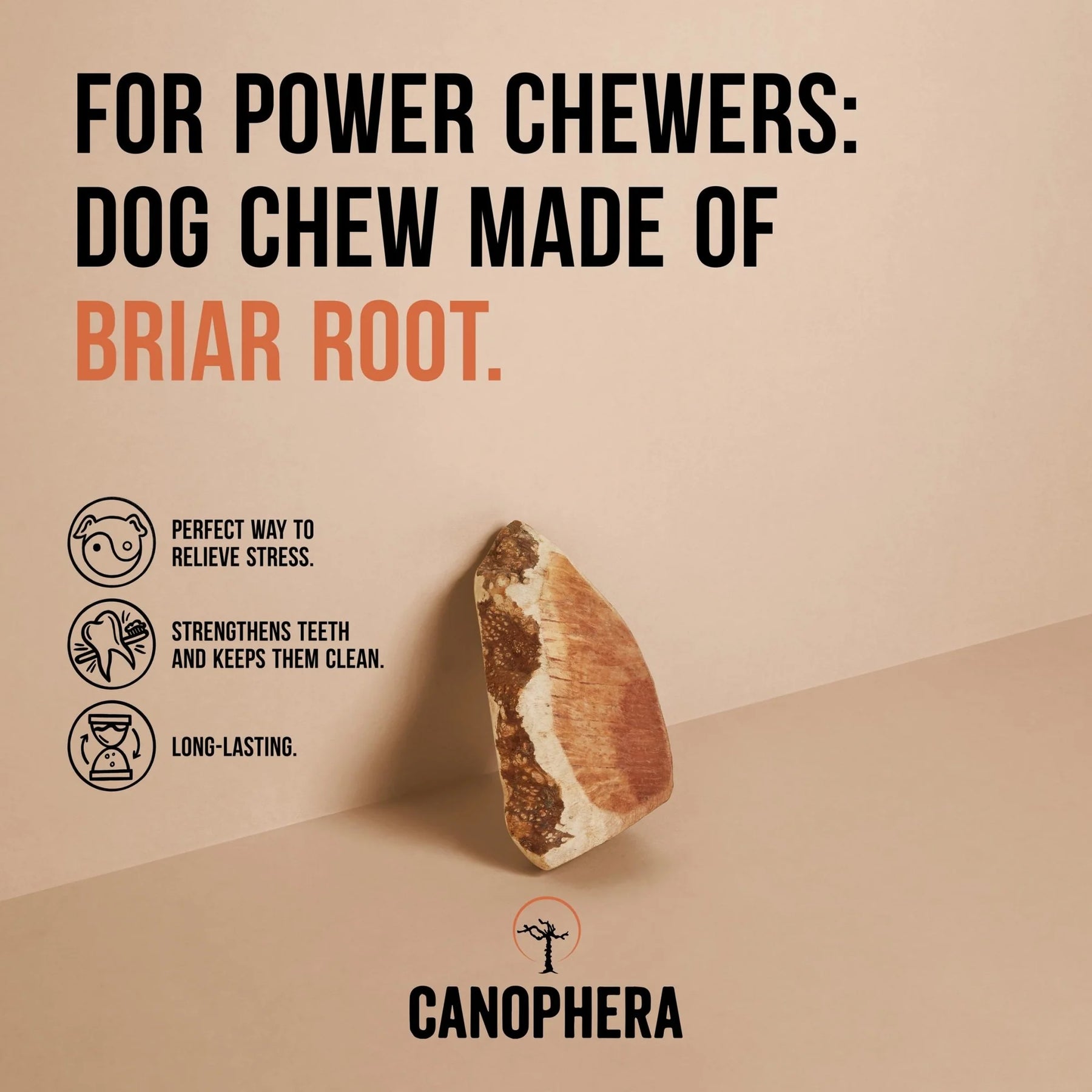 Canophera - Chew Root Made Of Briar Wood