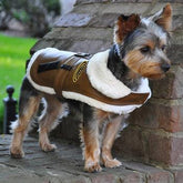 Faux Leather Bomber Harness
