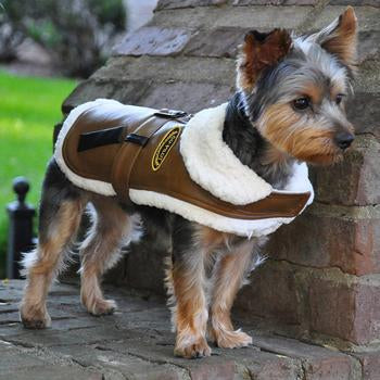 Faux Leather Bomber Harness