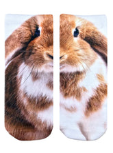 Living Royal - Socks Ankle Novelty Graphic Brown & White Bunny Rabbit