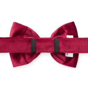 The Foggy Dog - Dog Bow Tie Burgundy Velvet