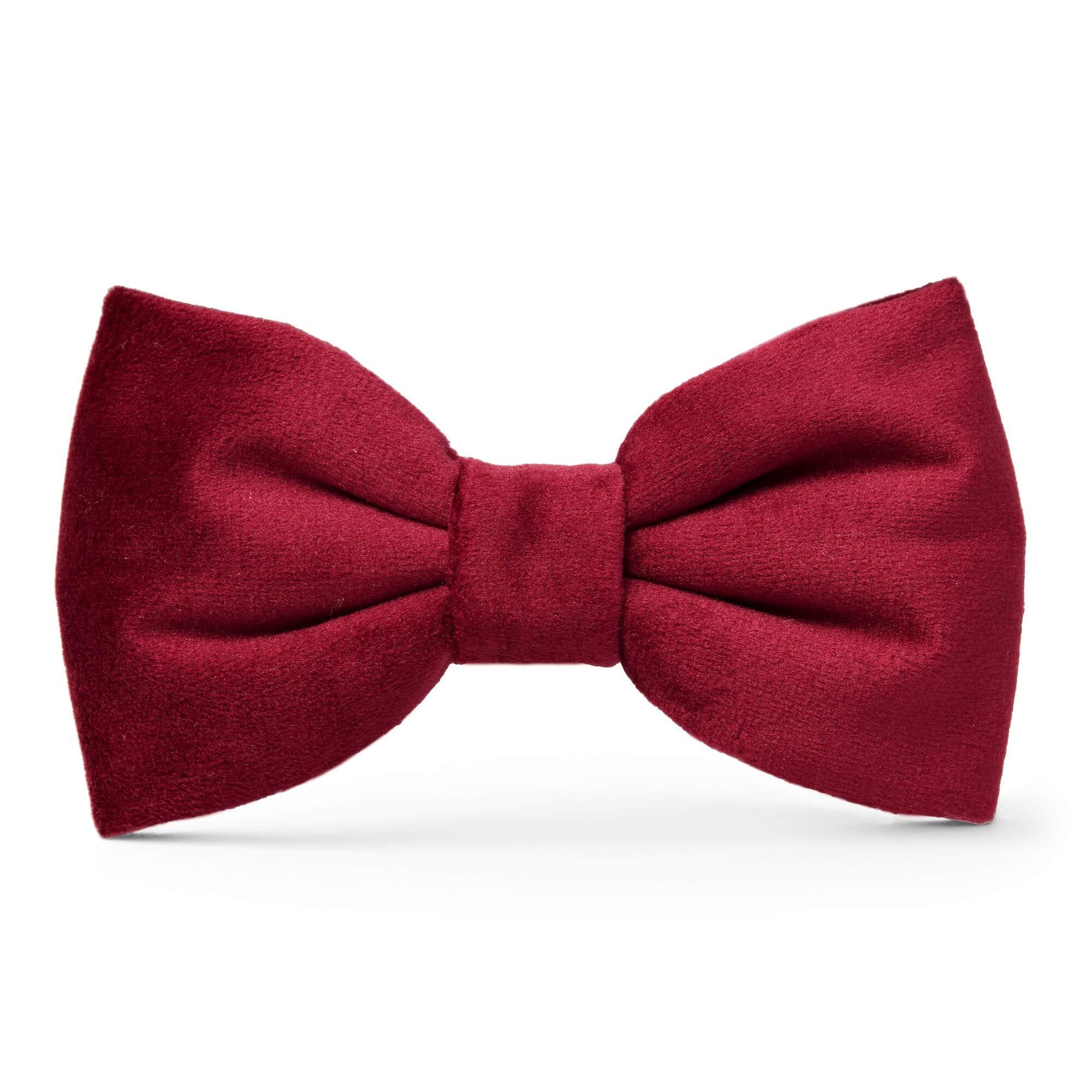 The Foggy Dog - Dog Bow Tie Burgundy Velvet