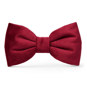 The Foggy Dog - Dog Bow Tie Burgundy Velvet