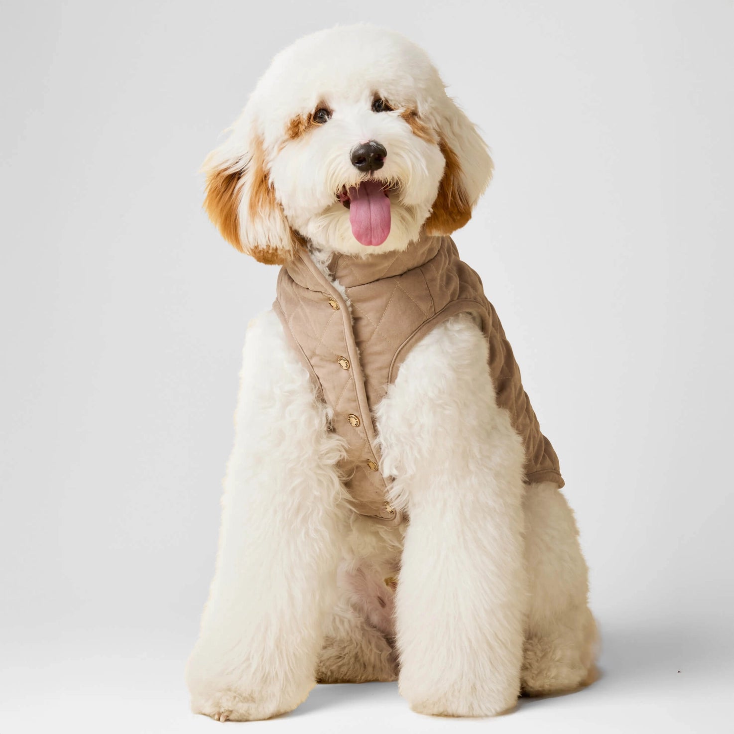 The Foggy Dog - Dog Jacket Fawn Sherpa-Lined Reversible