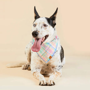 The Foggy Dog - Bandana Dog Blooming Plaid - Southern Agriculture 