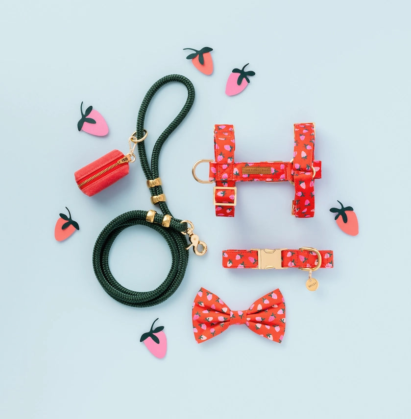 The Foggy Dog - Dog Collar Berry Sweet